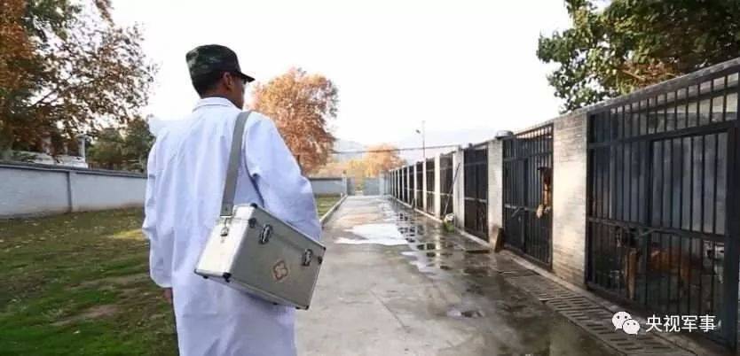 三角洲特种部队1手机版_三角洲特种部队游戏下载_三角洲特种部队3下载