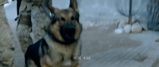 三角洲特种部队1手机版_三角洲特种部队游戏下载_三角洲特种部队3下载