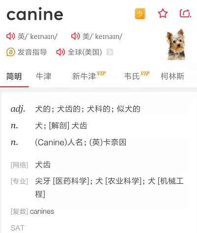 三角洲特种部队3下载_三角洲特种部队1手机版_三角洲特种部队游戏下载