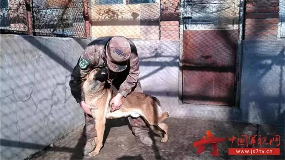 三角洲特种部队1手机版_三角洲特种部队3下载_三角洲特种部队游戏下载