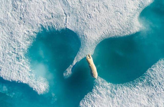 湄公河三角洲_湄公河三角洲是什么_湄公河三角洲地理特征