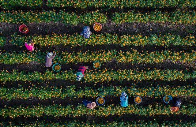 湄公河三角洲是什么_湄公河三角洲_湄公河三角洲地理特征