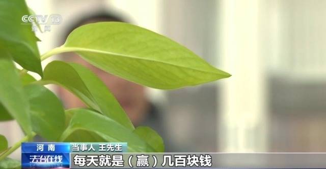 打鱼游戏赚钱是真的吗_网络游戏捕鱼赌博_河南周口警方追缴网络赌博赃款