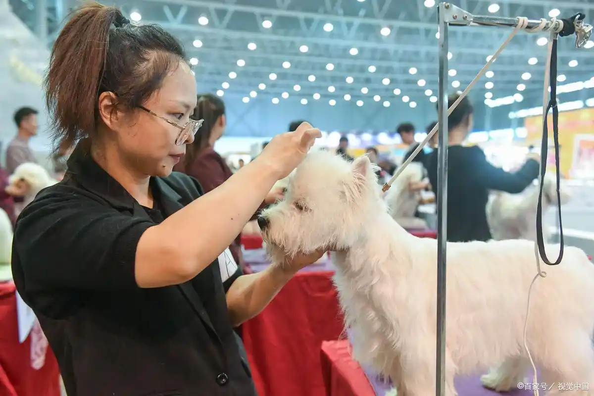 休息时间赚钱_空闲时间副业选择_手工刺绣线上销售