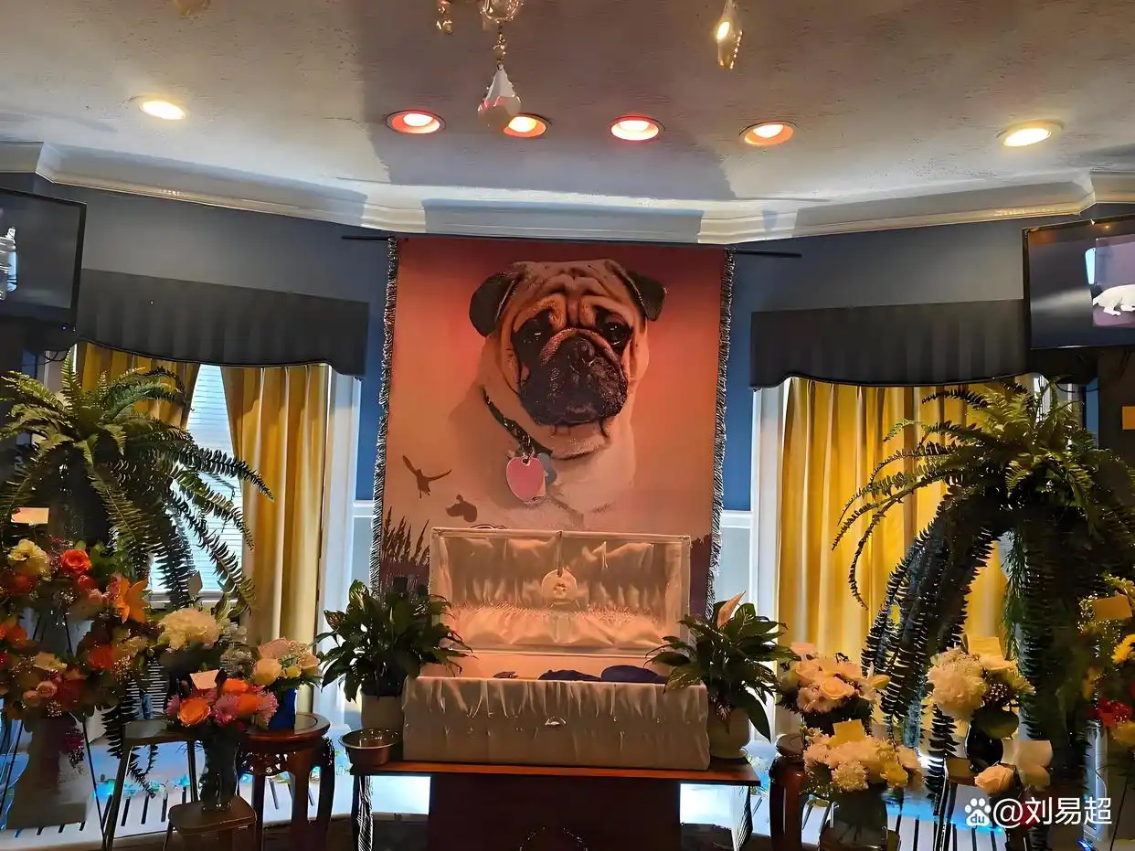 年入50万创业项目 _我想开店赚钱_ 宠物殡葬纪念品定制生意