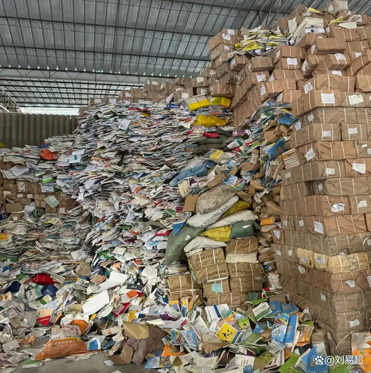 我想开店赚钱_ 宠物殡葬纪念品定制生意 _年入50万创业项目