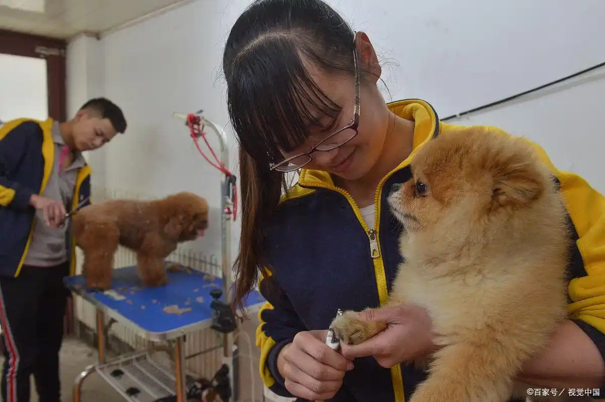 线上小店创业机会_2025年普通人小生意_我想开店赚钱