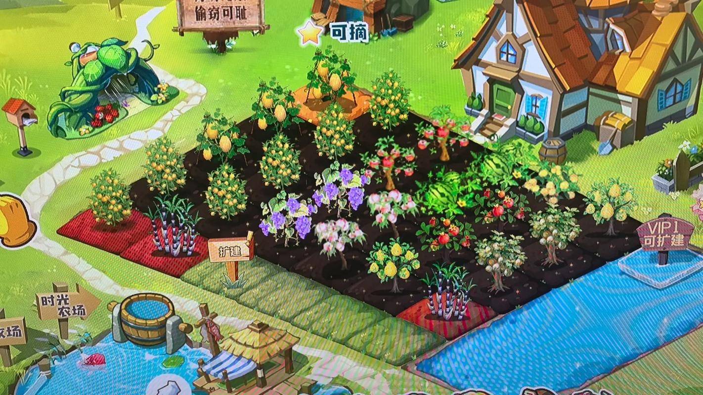 QQ农场偷菜技巧_狗狗喂养攻略_qq农场快速赚钱