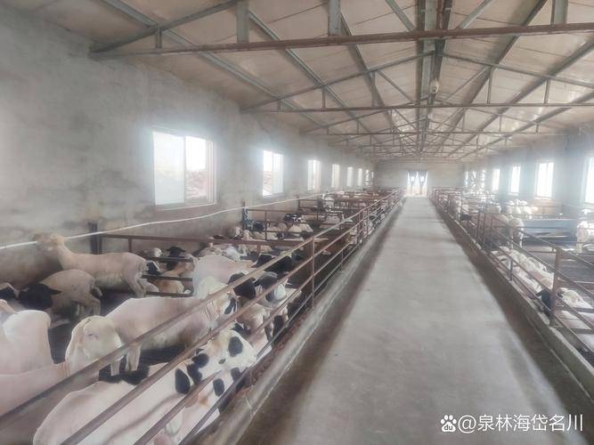 在农村开什么店能赚钱_农村特色养殖项目_年入10万养殖项目