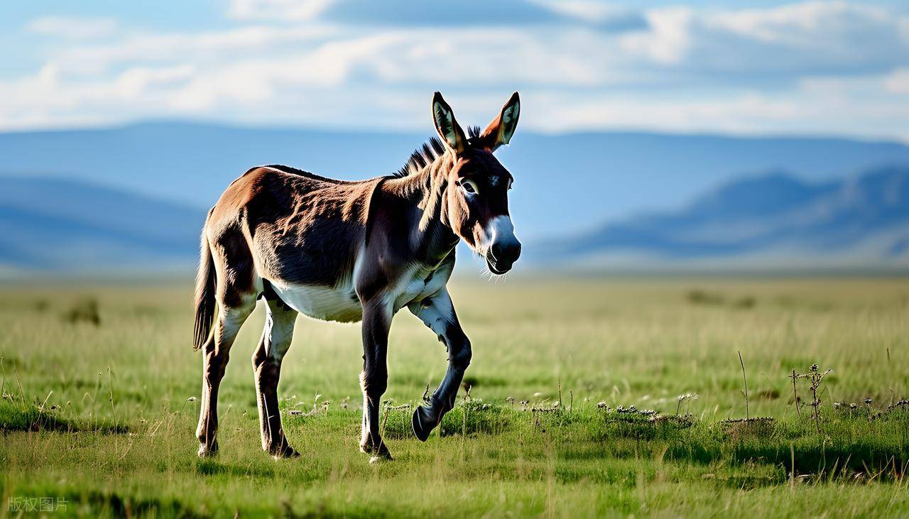 在农村开什么店能赚钱_农村特色养殖项目_年入10万养殖项目