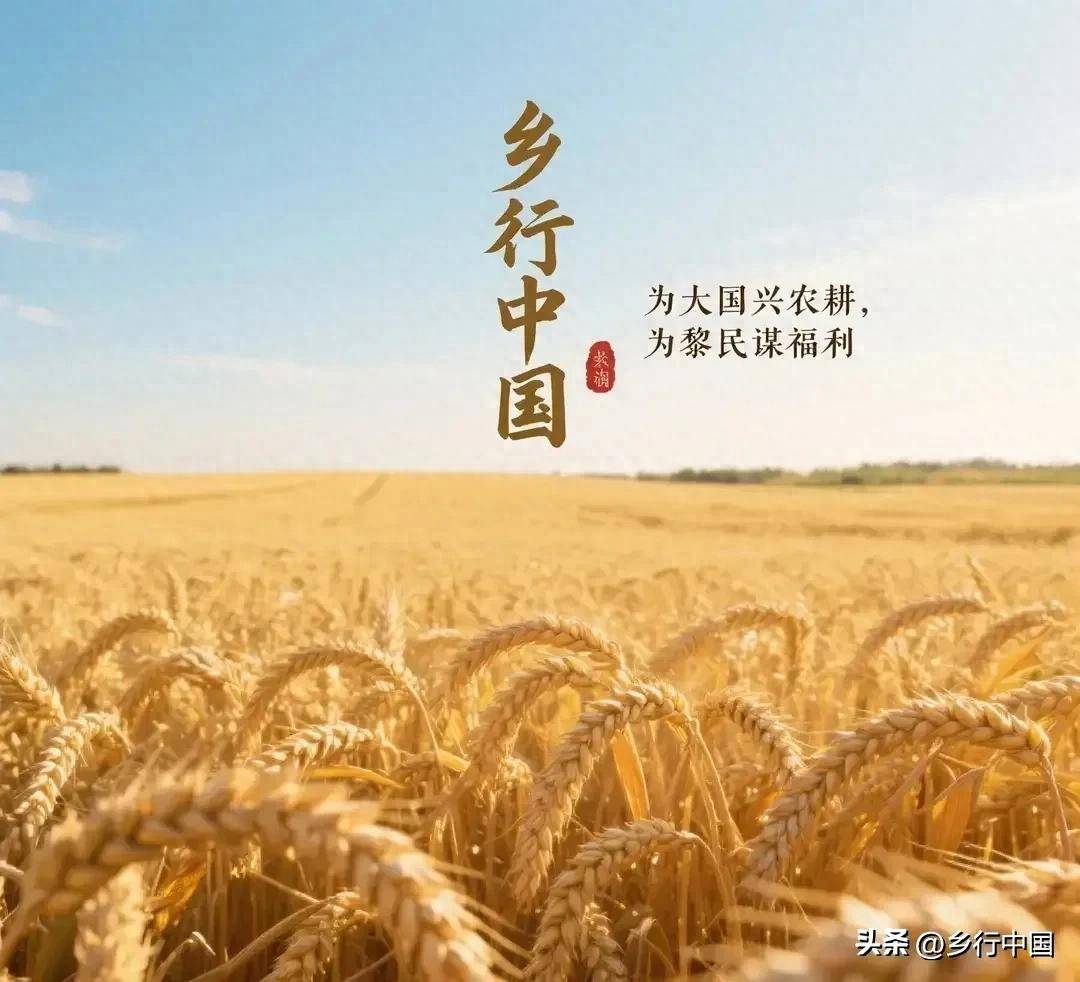 1万元林下养蜂果树种植_甜蜜创富模式_种植什么果树赚钱