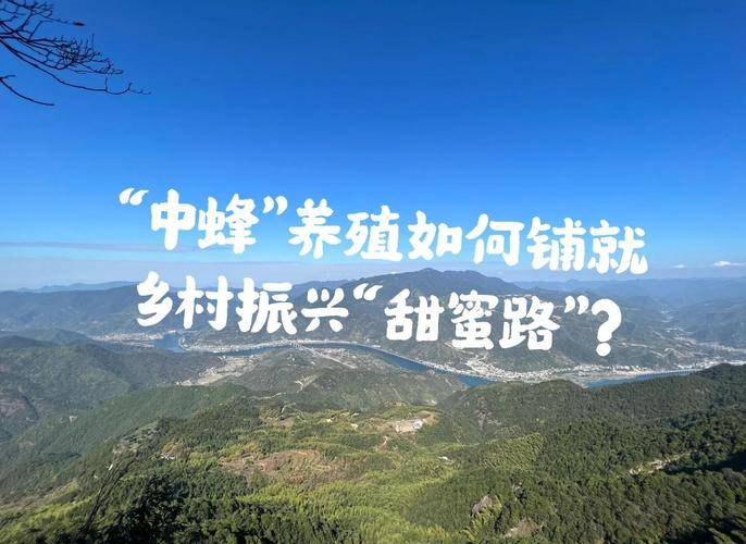 1万元林下养蜂果树种植_种植什么果树赚钱_甜蜜创富模式