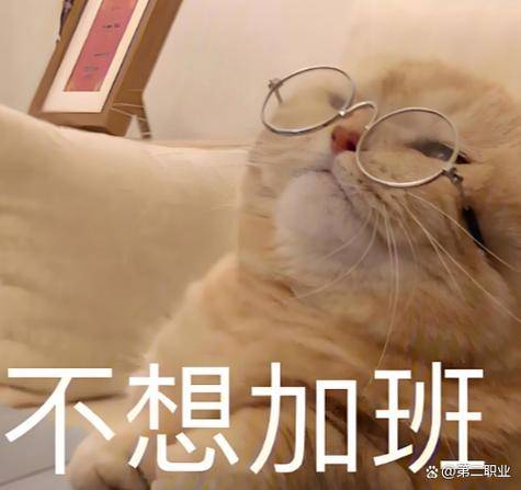 _今年免费赚钱之道_ 躺平生活方式 