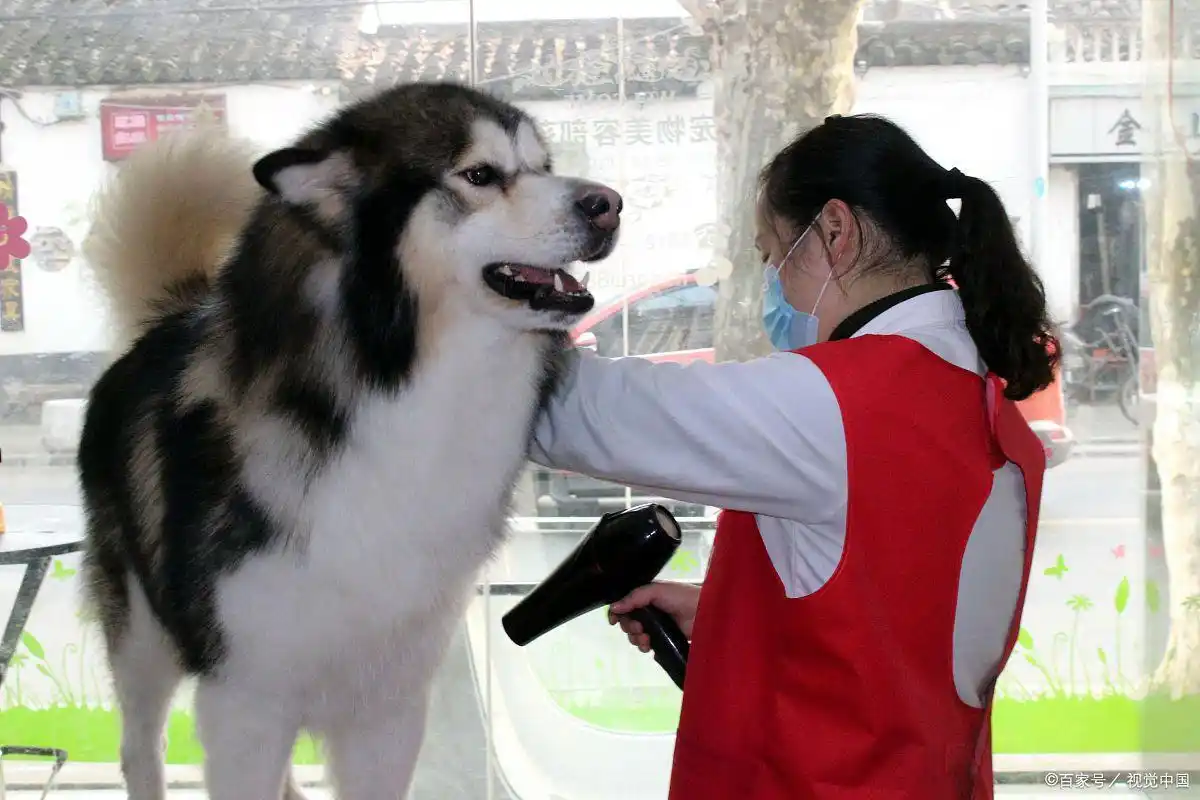 低成本创业项目_现在做什么生意投资少又赚钱_低调小本生意