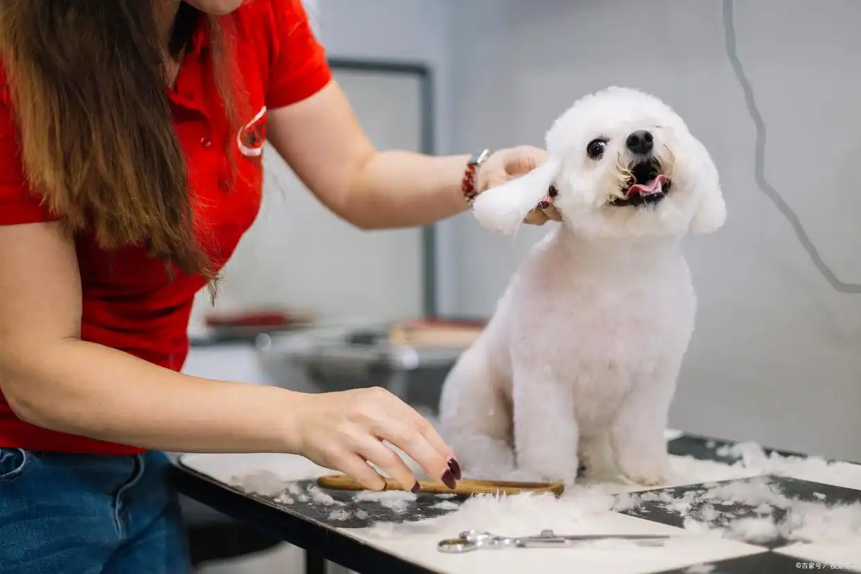 现在做什么生意投资少又赚钱_穷人翻身行业_偏门赚钱项目