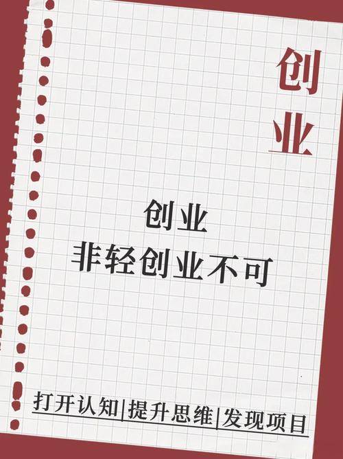 未来加盟0元赚钱商机_2025轻资产创业项目 _ 虚拟产品电商拼多多 