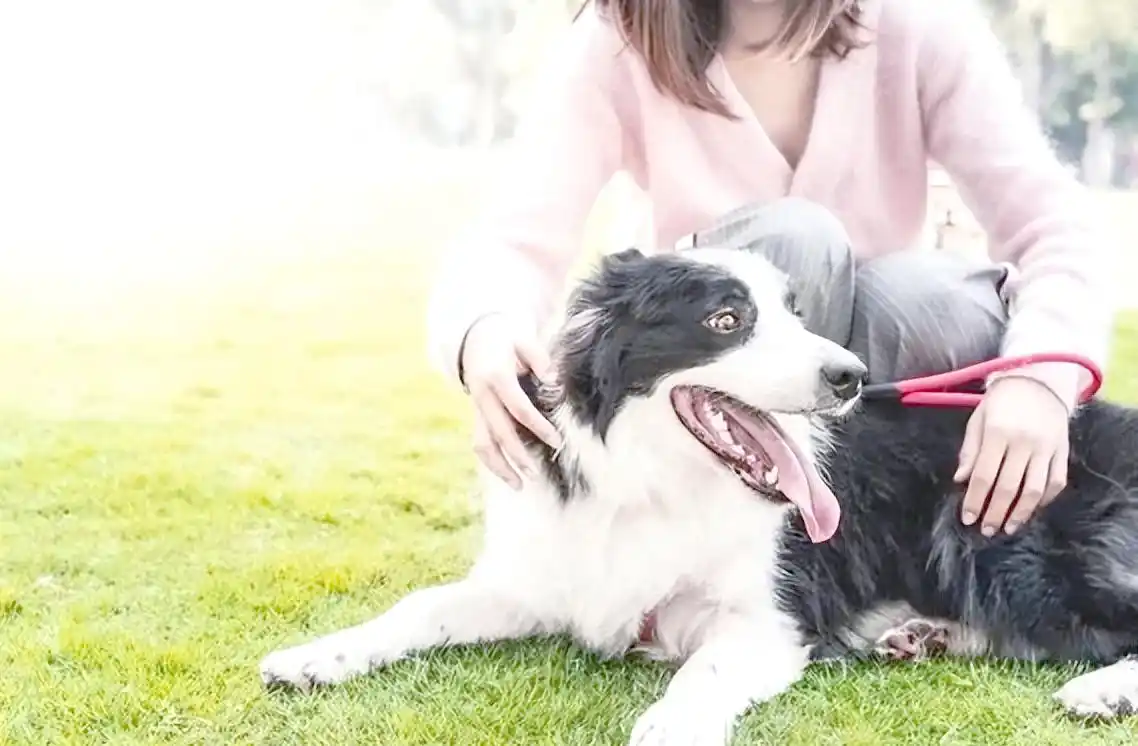 城市生存挑战赚钱方法_摆摊经济与夜间收入来源_现金流管理与生活压力缓解