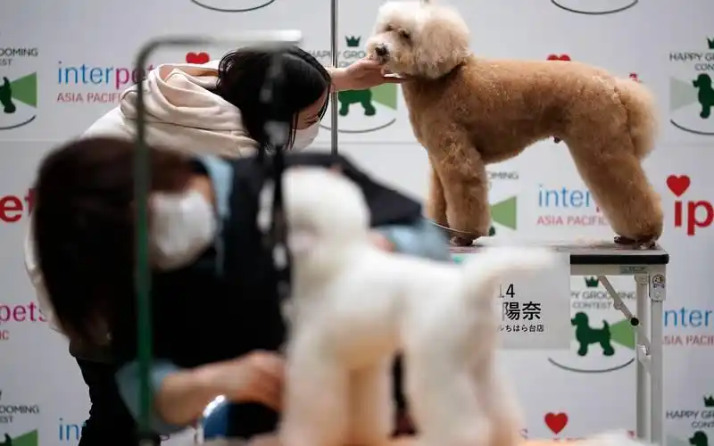 摆摊经济与夜间收入来源_现金流管理与生活压力缓解_城市生存挑战赚钱方法