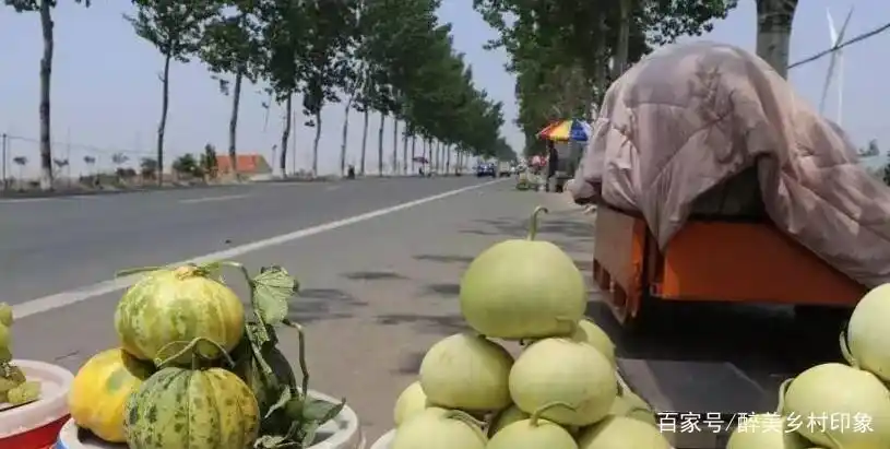 低成本农村生意_在农村只有两万块做什么生意赚钱_农村创业项目