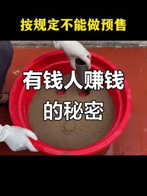 征途游戏资本型赚钱方式_征途2 赚钱攻略_征途游戏空手套白狼赚钱方法