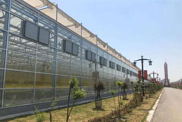 温室大棚种什么花赚钱_智能温室建造价格_温室大棚造价