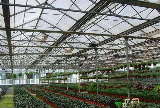 智能温室建造价格_温室大棚种什么花赚钱_温室大棚造价