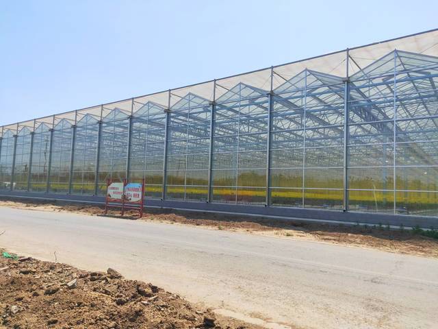 智能温室造价_温室大棚类型价格_温室大棚种什么花赚钱