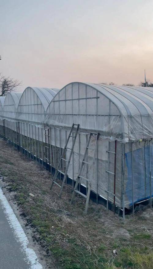 智能温室造价_温室大棚种什么花赚钱_温室大棚类型价格