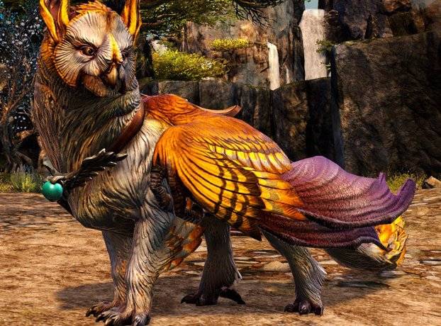 魔兽世界与激战2对比_激战2探索乐趣与地图设计_激战2试玩激活码