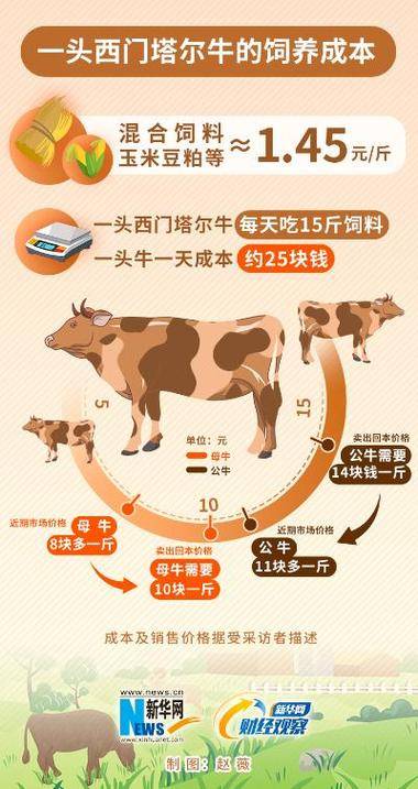 肉牛养殖效益最大化_如何选择肉牛品种_怎样养奶牛多赚钱