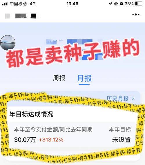 电子商务做什么赚钱_小额投资高回报项目_几万块做项目赚钱