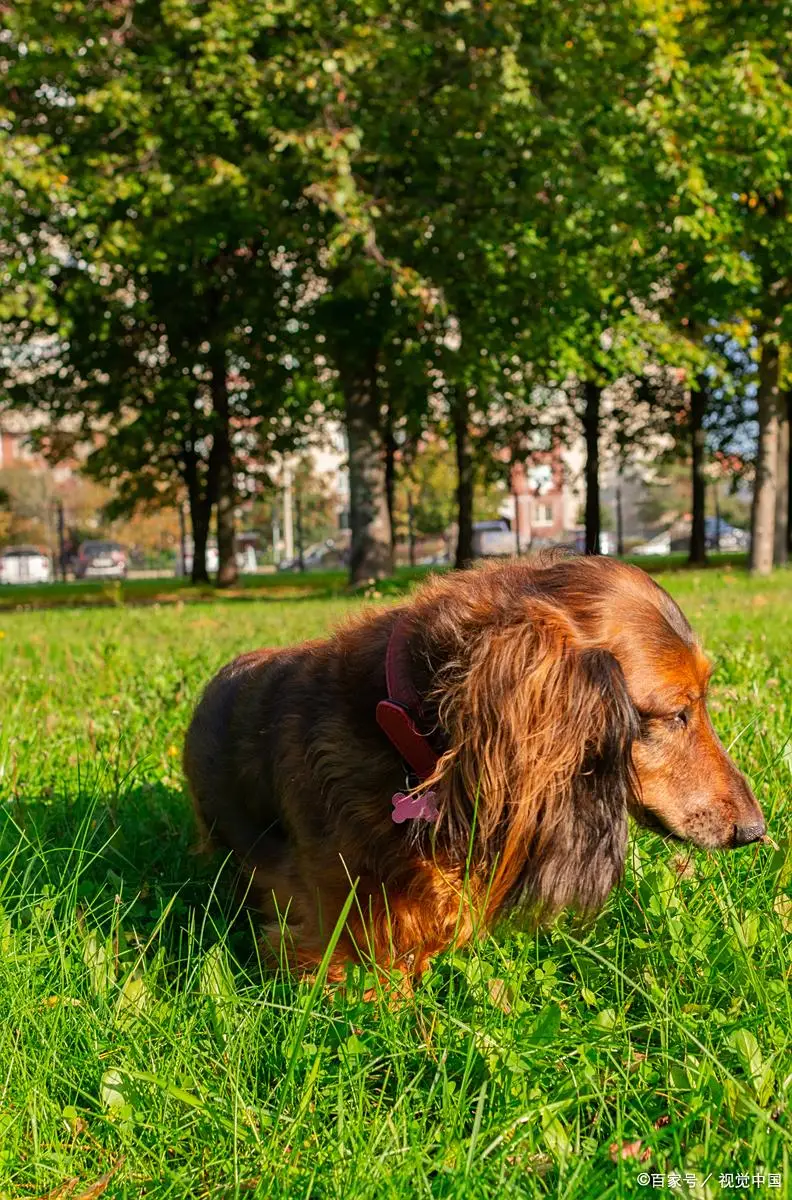 现在做什么项目赚钱_新能源汽车后市场服务创业机会_社区养老服务工作室投资