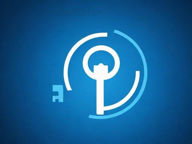 easyrecovery14专业版激活密钥,密钥有效性检测工具实测,EasyRecovery 14专业版激活密钥及有效性检测工具实测揭秘 第1张