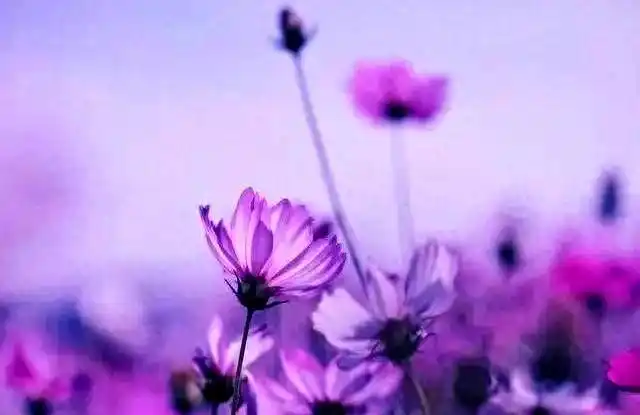 婚姻经济独立 加分项减分项 婚姻财务管理_老婆赚钱