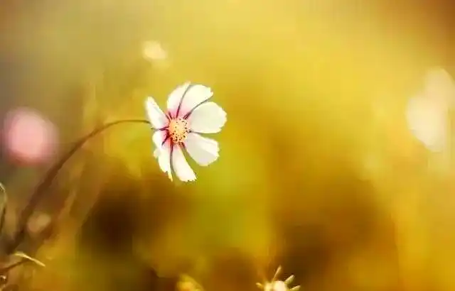 婚姻经济独立 加分项减分项 婚姻财务管理_老婆赚钱