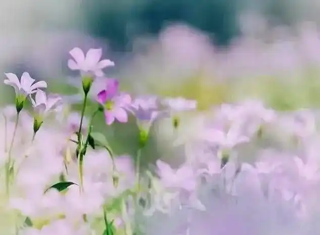 婚姻经济独立 加分项减分项 婚姻财务管理_老婆赚钱