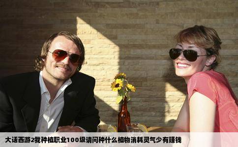 大话职业玩家赚钱攻略_攻略大话赚钱职业推荐_大话2职业赚钱攻略