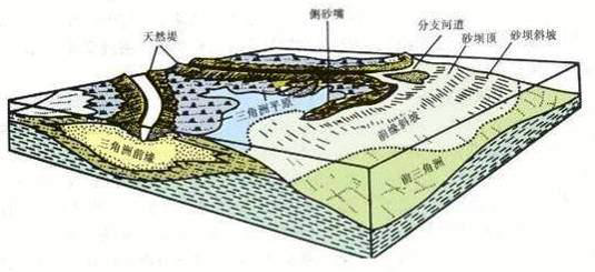 三角洲平原形成于河流下游_辫状河三角洲平原_平原和三角洲