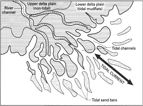 平原和三角洲_三角洲平原形成于河流下游_辫状河三角洲平原