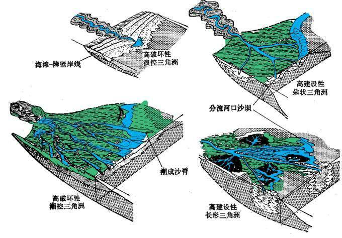 平原和三角洲_辫状河三角洲平原_三角洲平原形成于河流下游