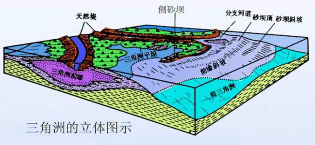 辫状河三角洲平原_三角洲平原形成于河流下游_平原和三角洲