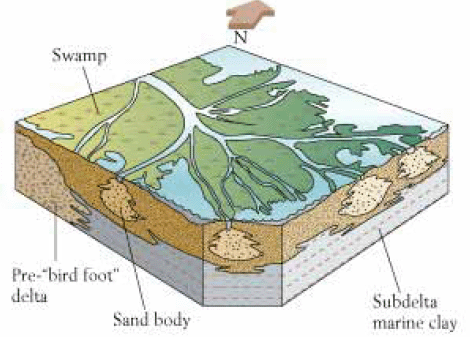 三角洲平原形成于河流下游_平原和三角洲_辫状河三角洲平原