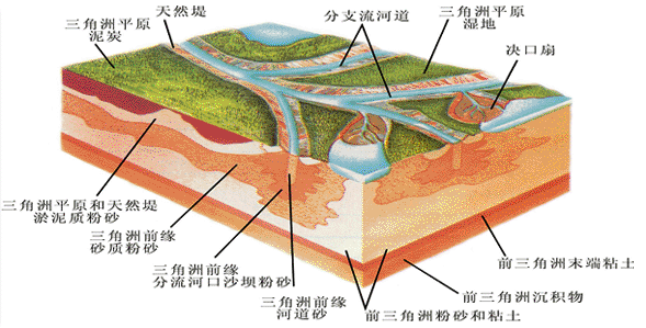 辫状河三角洲平原_平原和三角洲_三角洲平原形成于河流下游