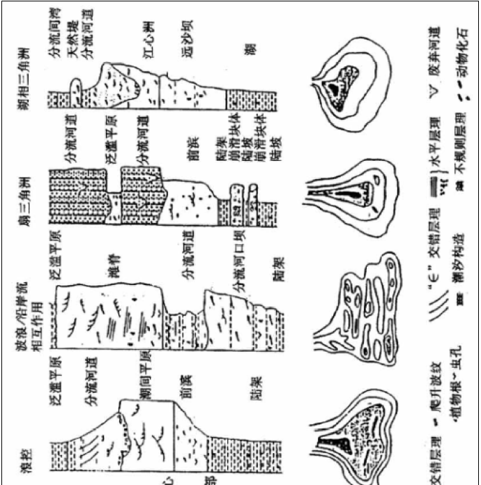 辫状河三角洲平原_三角洲平原形成于河流下游_平原和三角洲