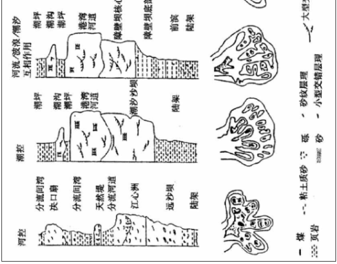 平原和三角洲_辫状河三角洲平原_三角洲平原形成于河流下游