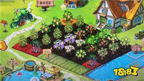 天天农场手机版下载_偷菜游戏手机版排行榜_农场种蔬菜赚钱手机版