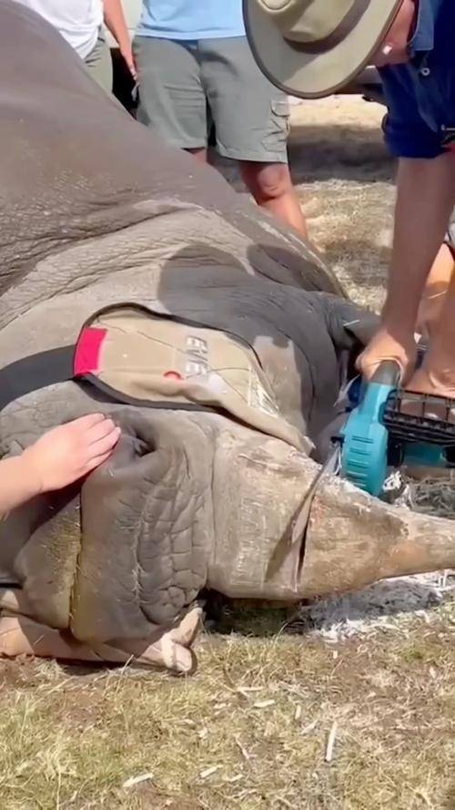 博茨瓦纳奥卡万戈三角洲_奥卡万戈河三角洲_奥卡万戈三角洲面积变化特点