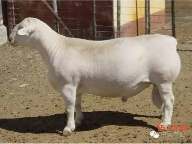 南通长江三角洲_南通三角洲杂志_南通《三角洲》杂志