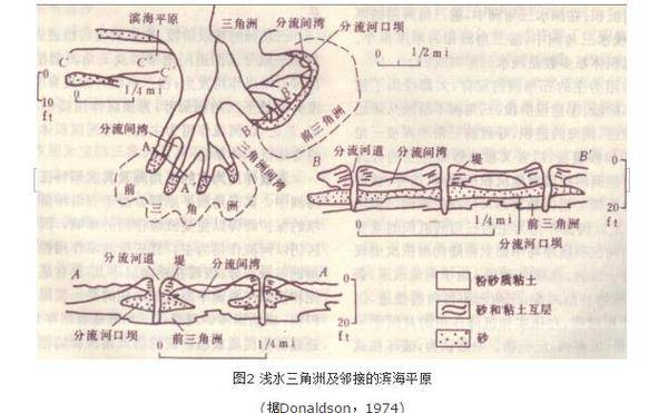 三角洲沉积模式图_三角洲沉积_三角洲沉积相