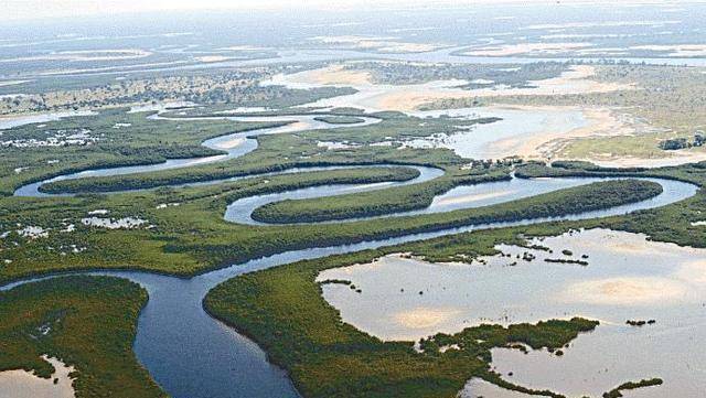 三角洲河流分叉的原因_三角洲irene_塞内加尔河三角洲图